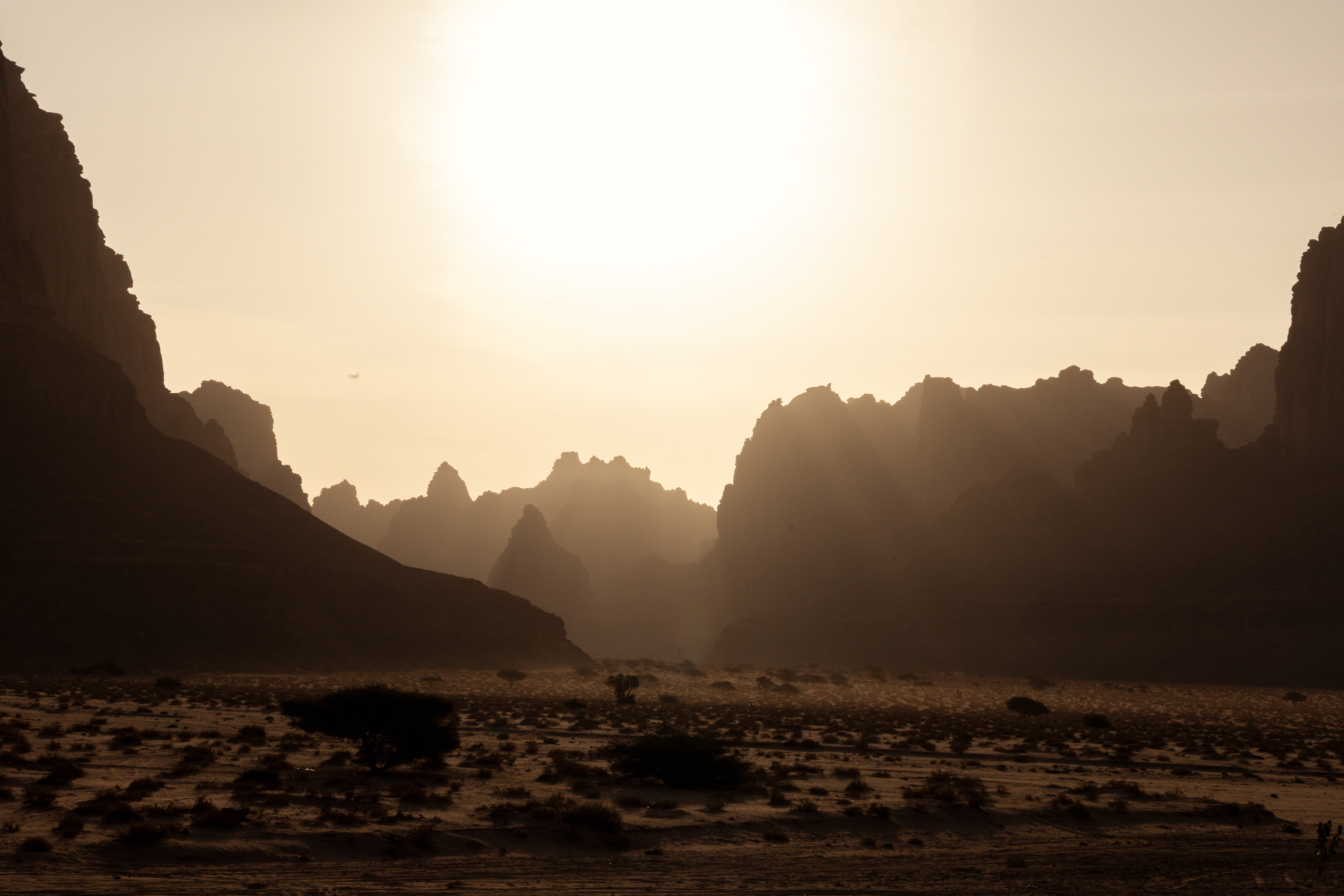 JSAMS_Destination_WadiAlDisah_WhatTheFox-0038