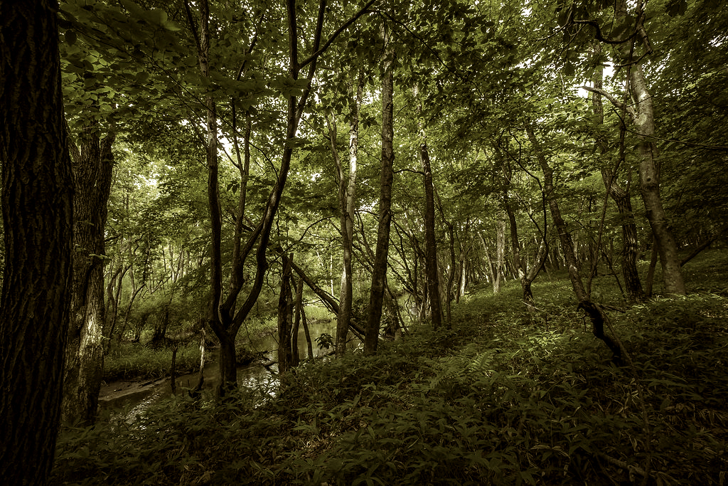 Jayasom Japan_retouched