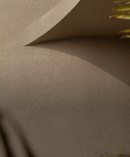 rectangle-13-3-69af14533ae11